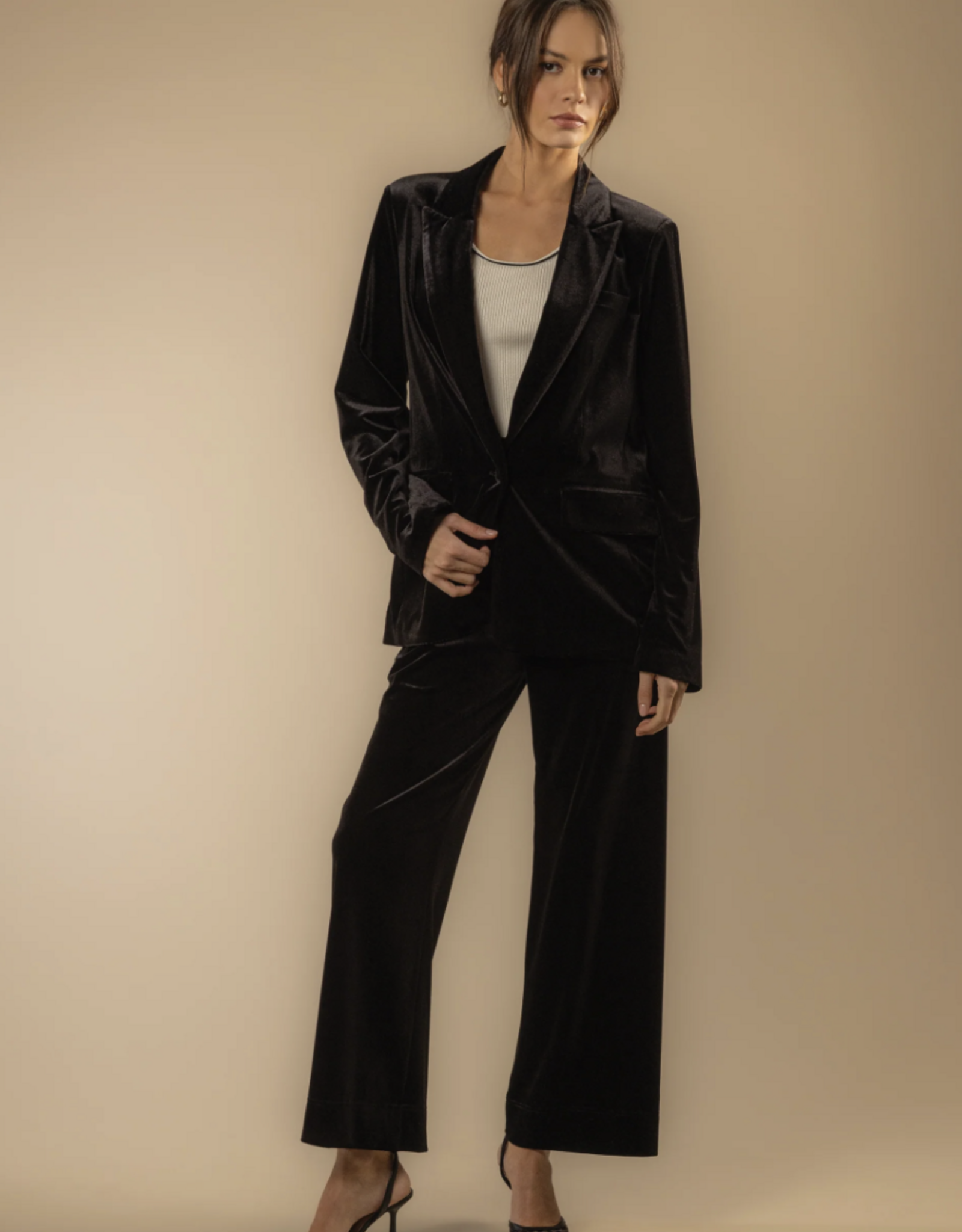 Velvet Heart Velvet Heart - Bates Velvet pantalon FW25