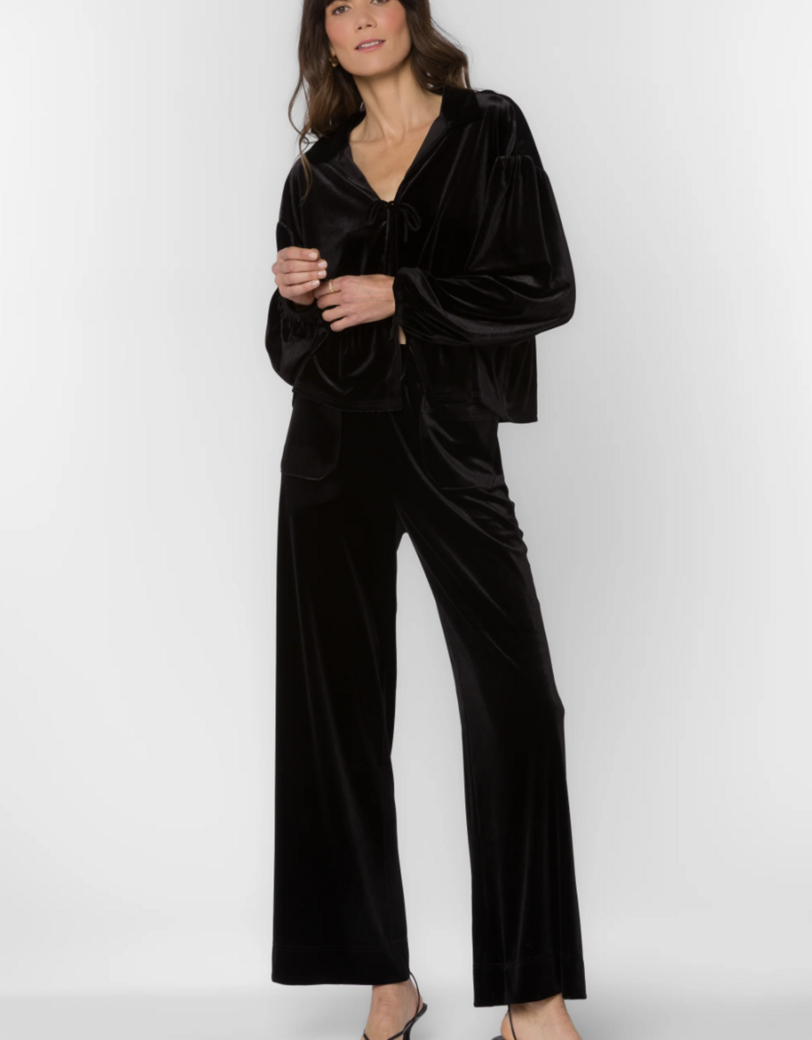 Velvet Heart Velvet Heart - Bates Velvet pants FW25