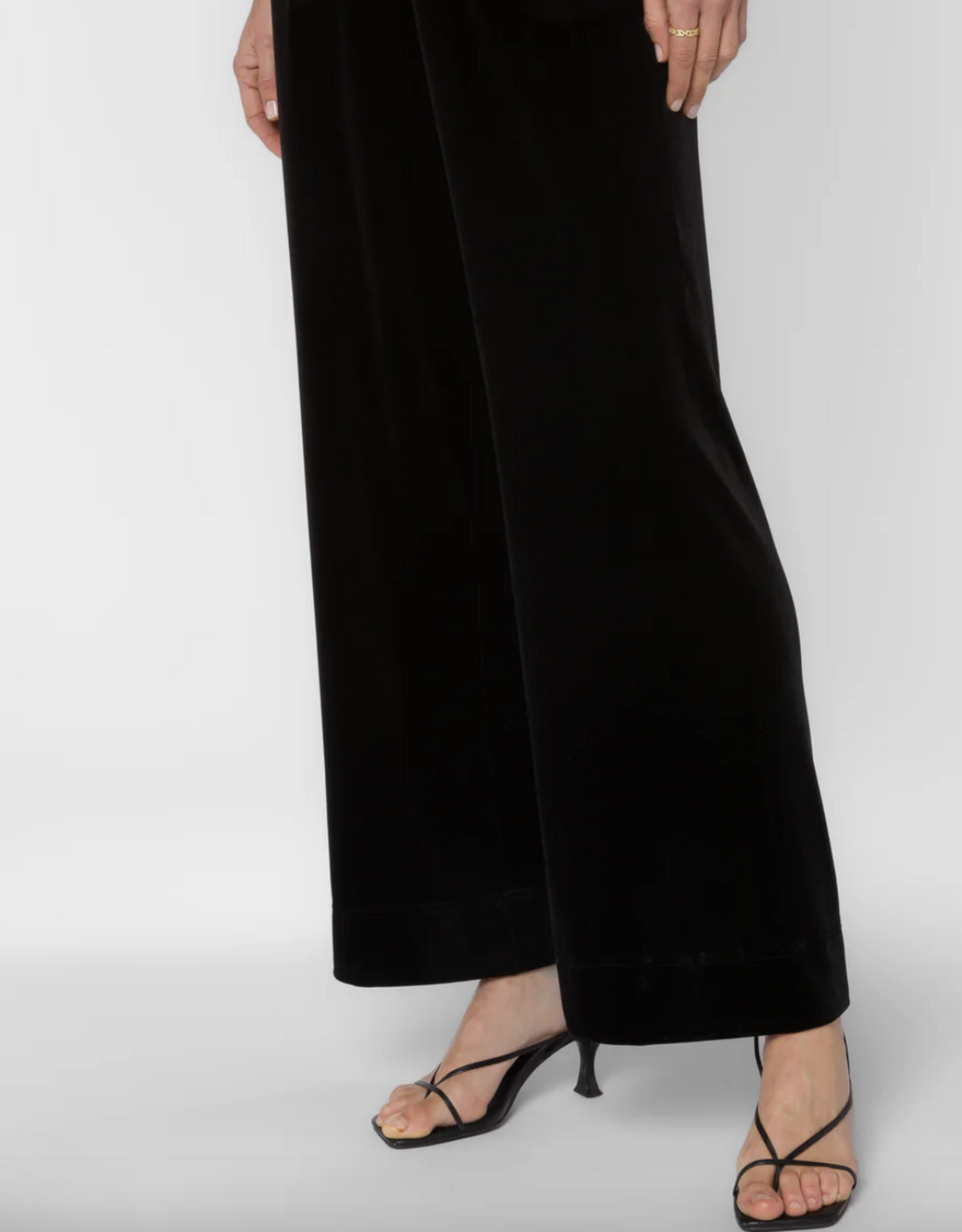 Velvet Heart Velvet Heart - Bates Velvet pants FW25