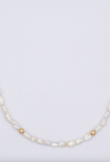 Flora Ciccarelli Flora Ciccarelli - 221-201 Collier Aurora