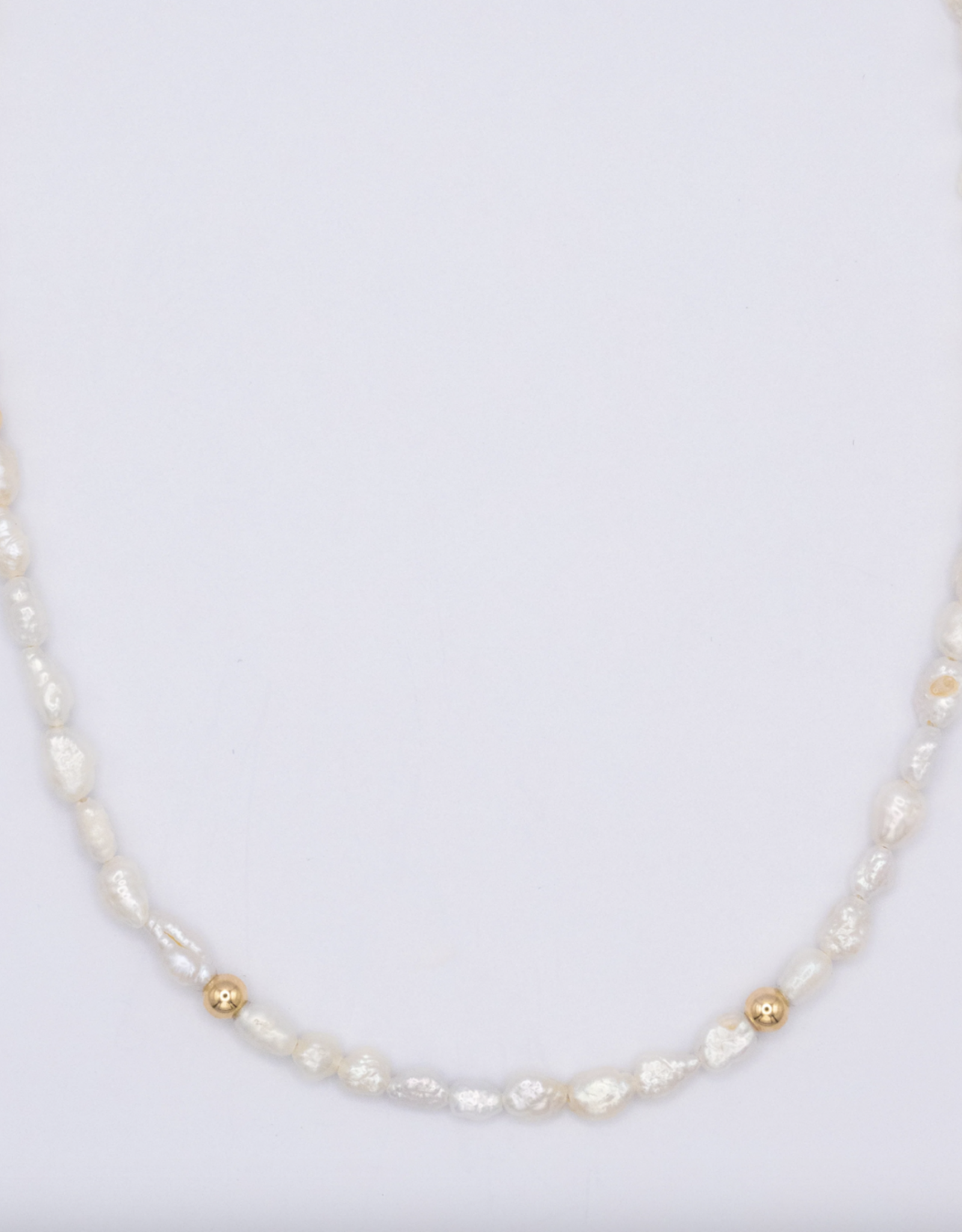 Flora Ciccarelli Flora Ciccarelli - 221-201 Collier Aurora