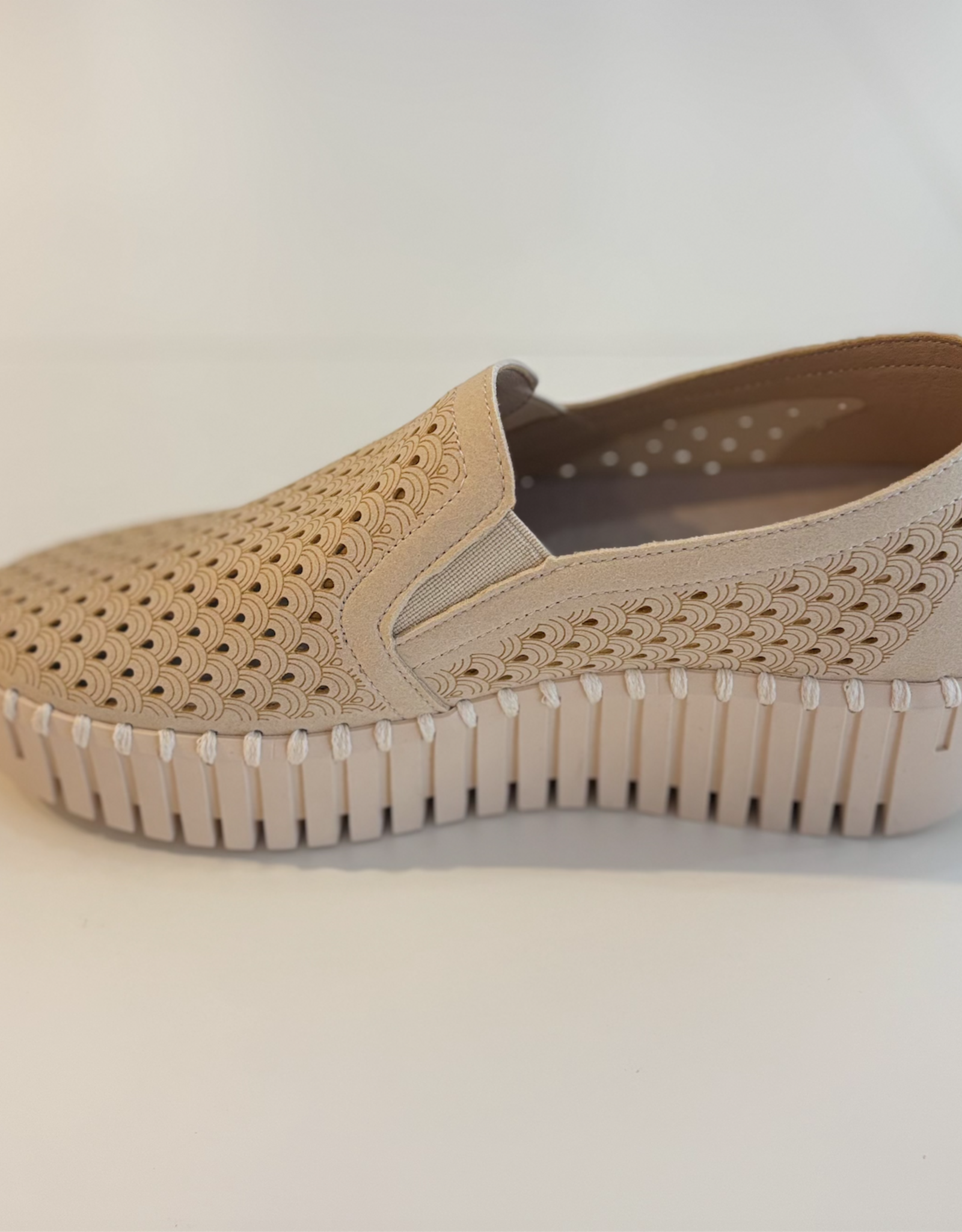 Ilse Jacobsen Ilse Jacobsen - Tulip4078 Healed Soulier SS26