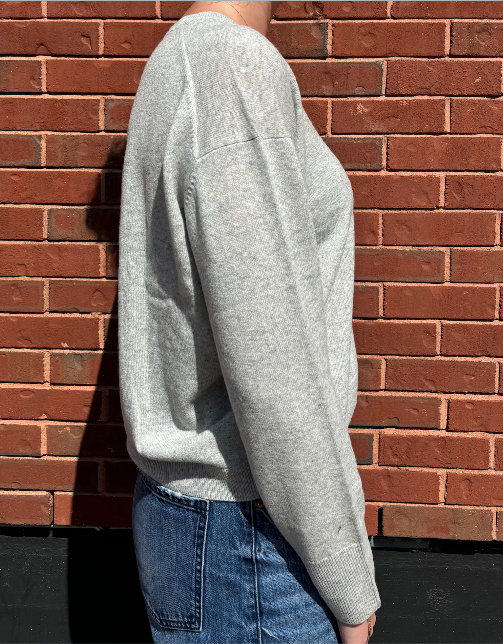 Not Shy Not Shy- Warren V-neck Sweater