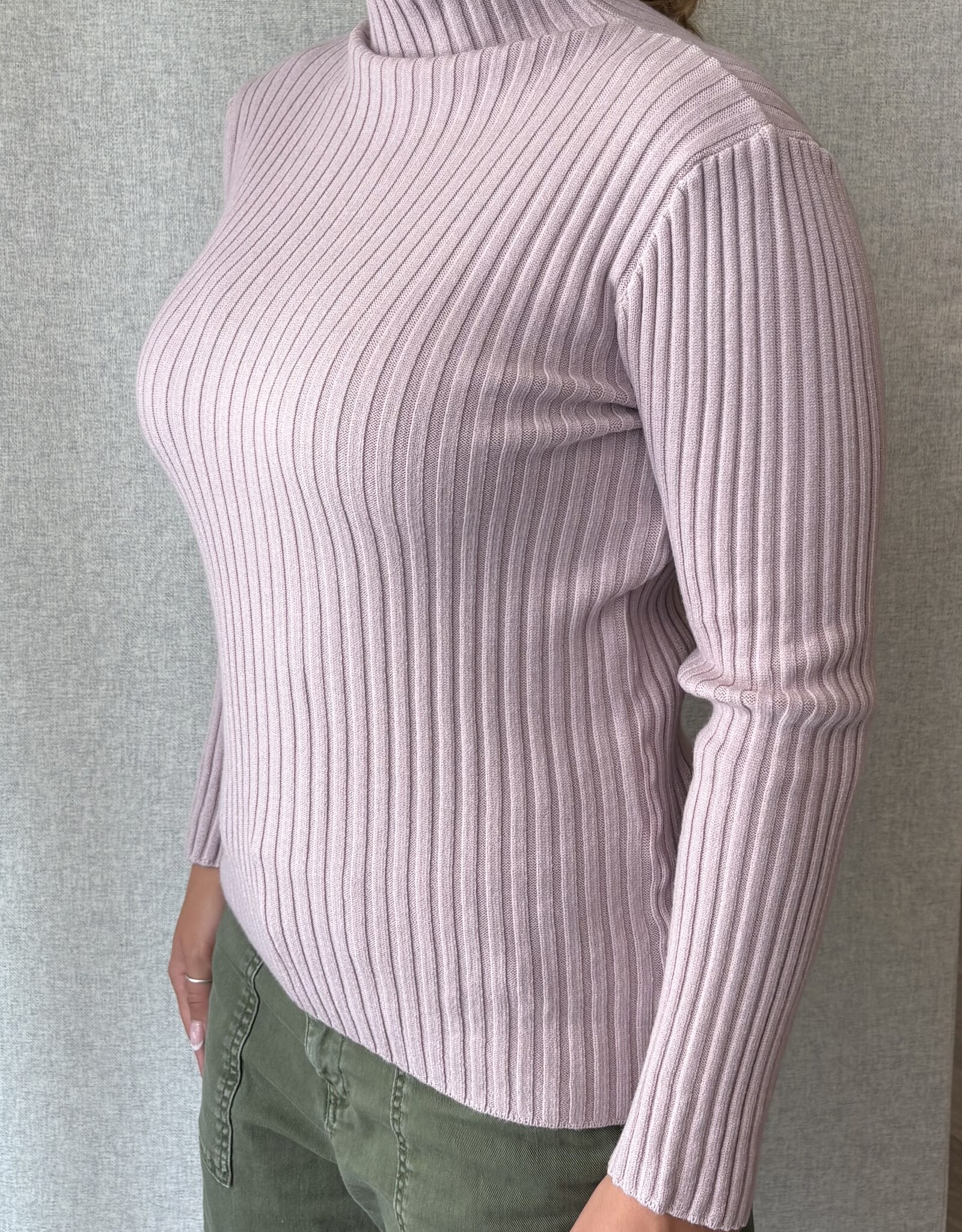 Pistache Pistache - B2468 Ribbed Knit Turtle Neck