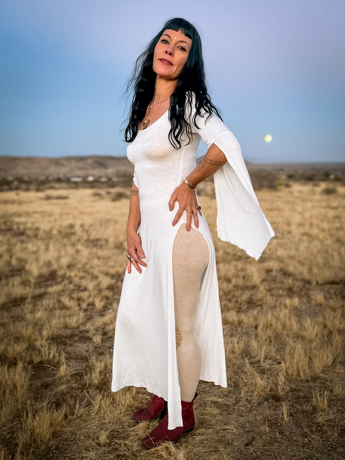 Long Sleeve Panel Dress: Winter White