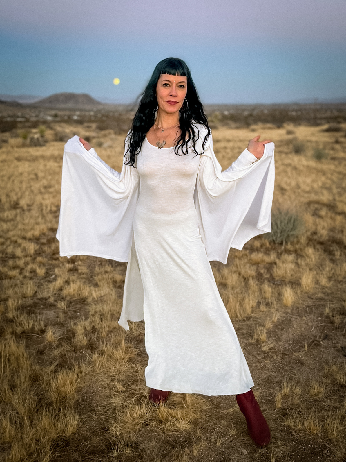 Long Sleeve Panel Dress: Winter White