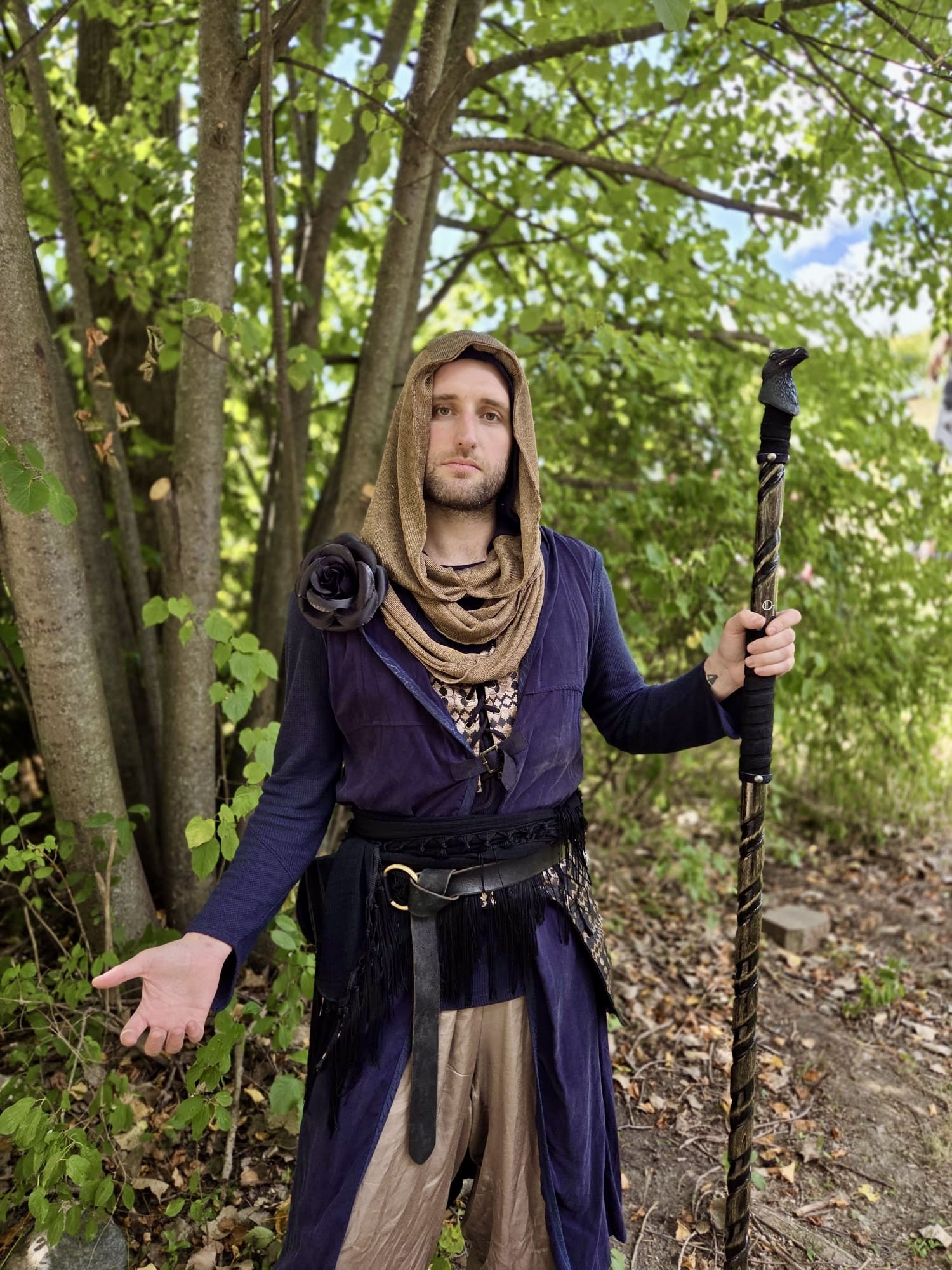 Druid Duster: Avalon