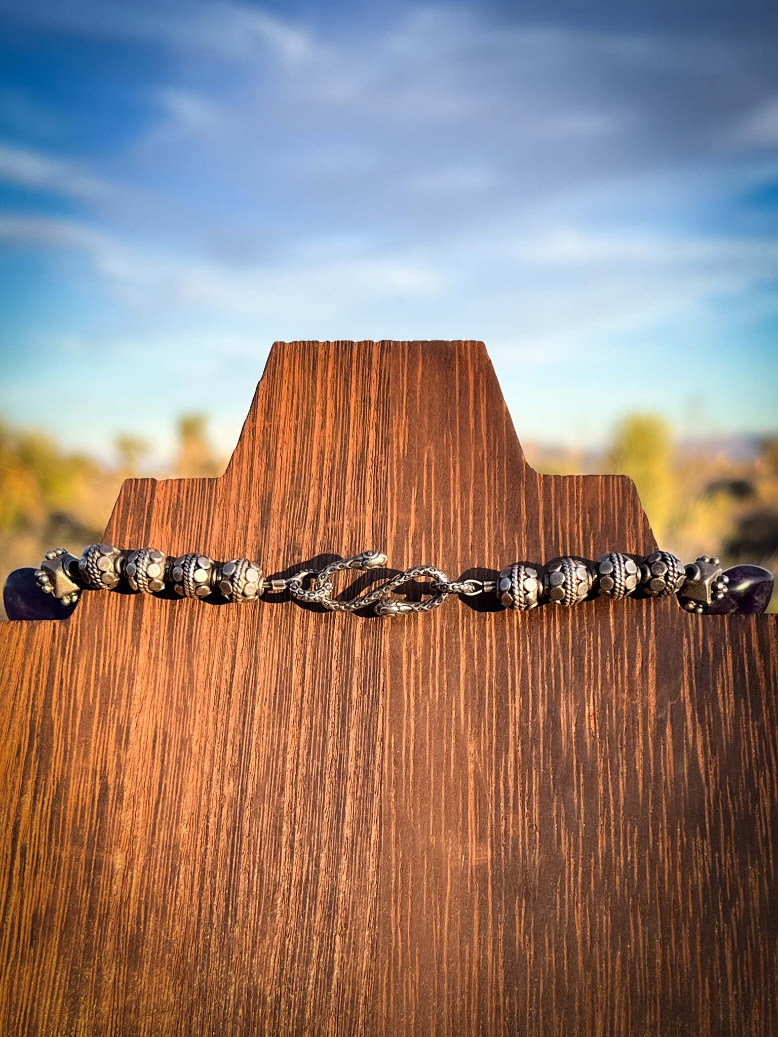 Maiden's Shield Necklace