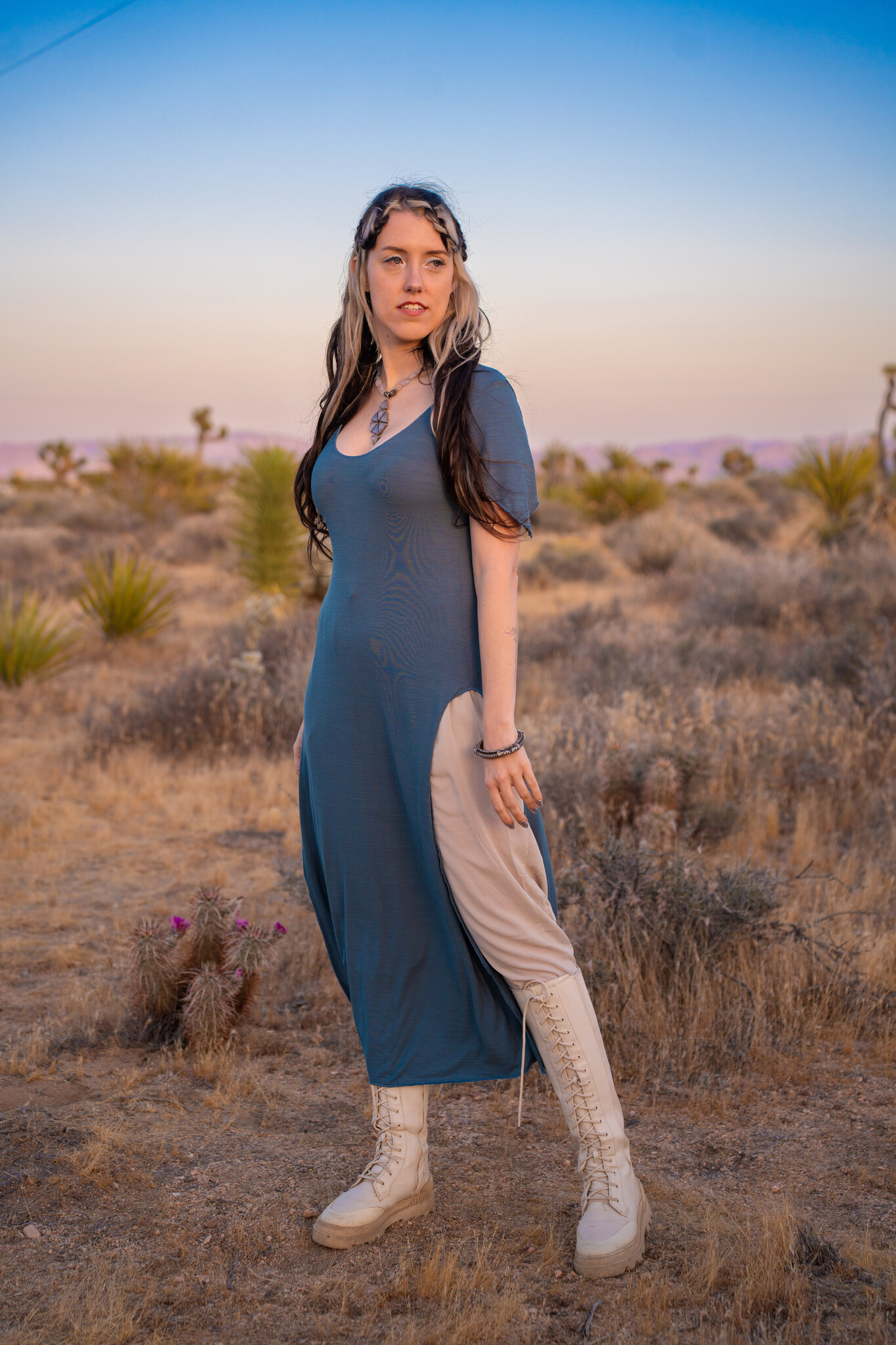 Panel Dress: Faerie Sleeve