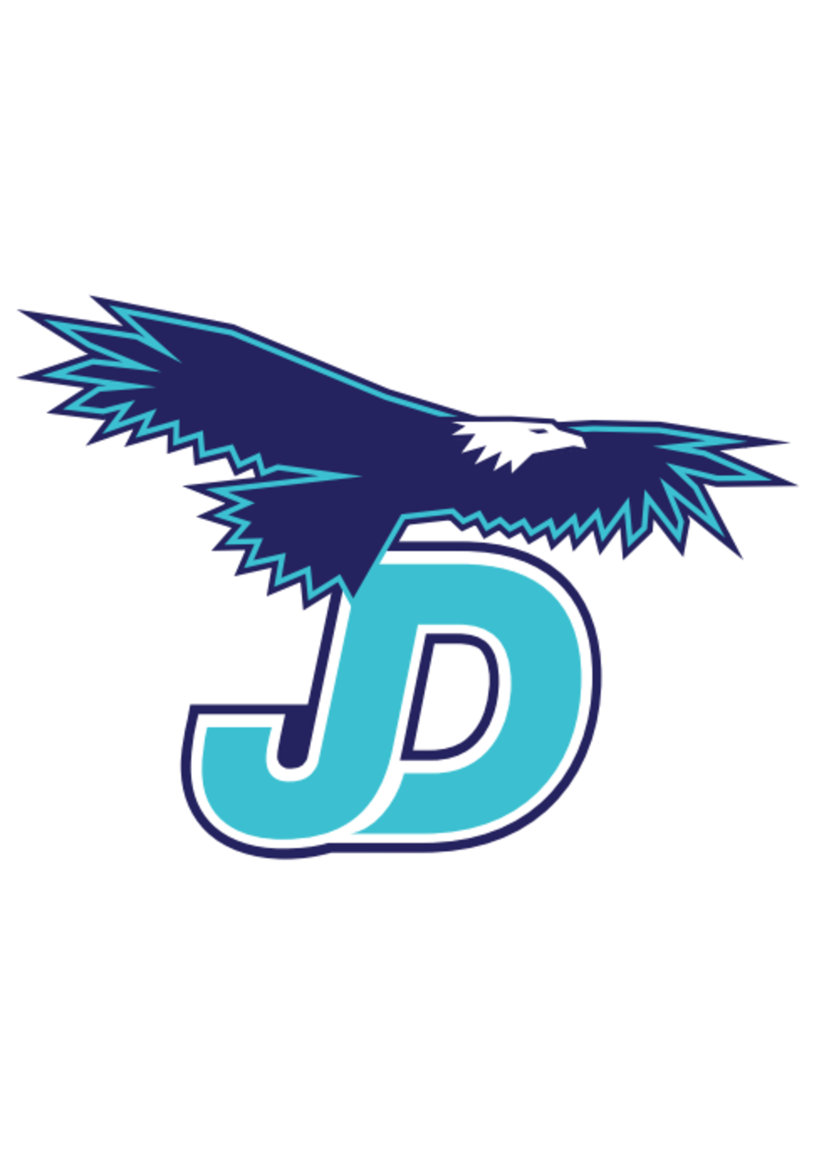 NON-UNIFORM Juan Diego Large Decal, navy/white/teal