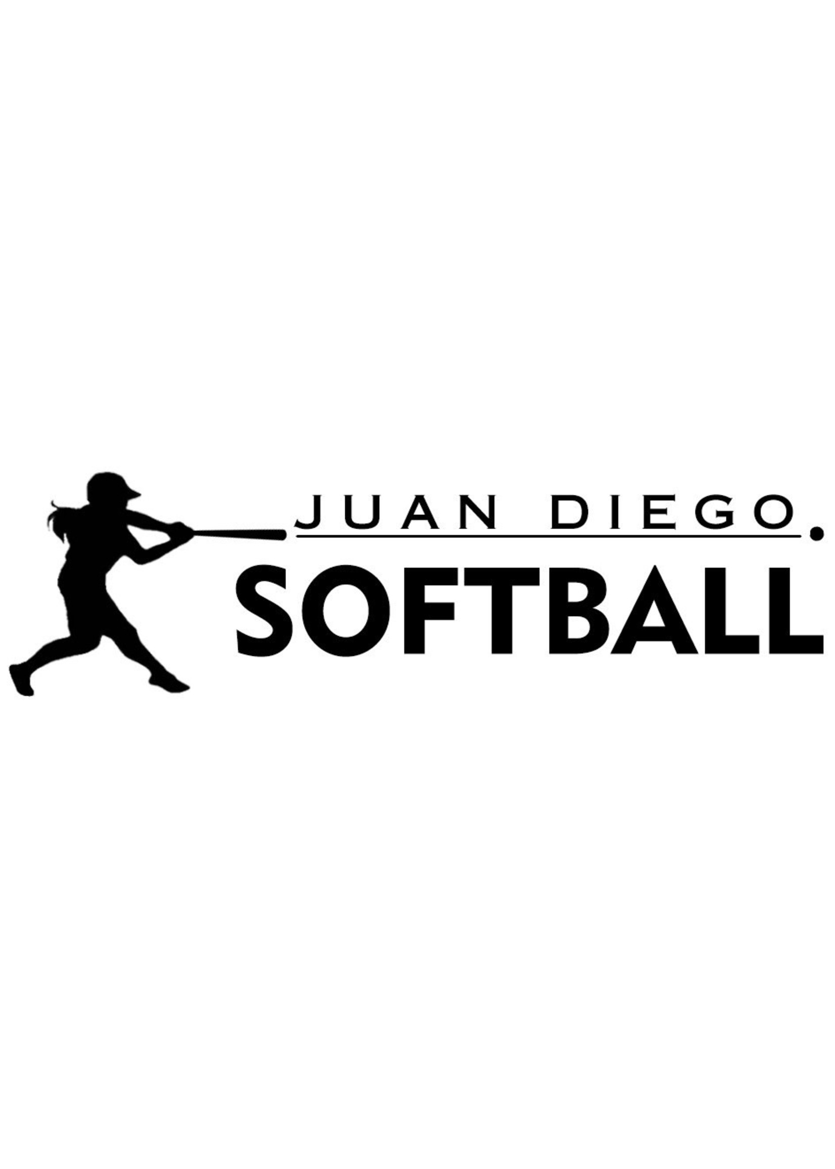 NON-UNIFORM Softball - Decal