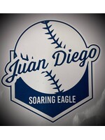 NON-UNIFORM JD Sticker- BallPark removable & reusable decals