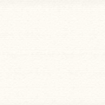 PACON/STRATHMORE STRATHMORE W/C 140 LB 24 PK