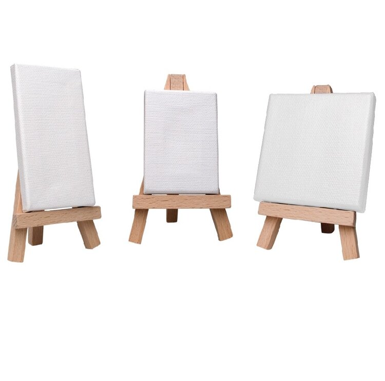 ART ALTERNATIVES MINI CANVAS 100/DP