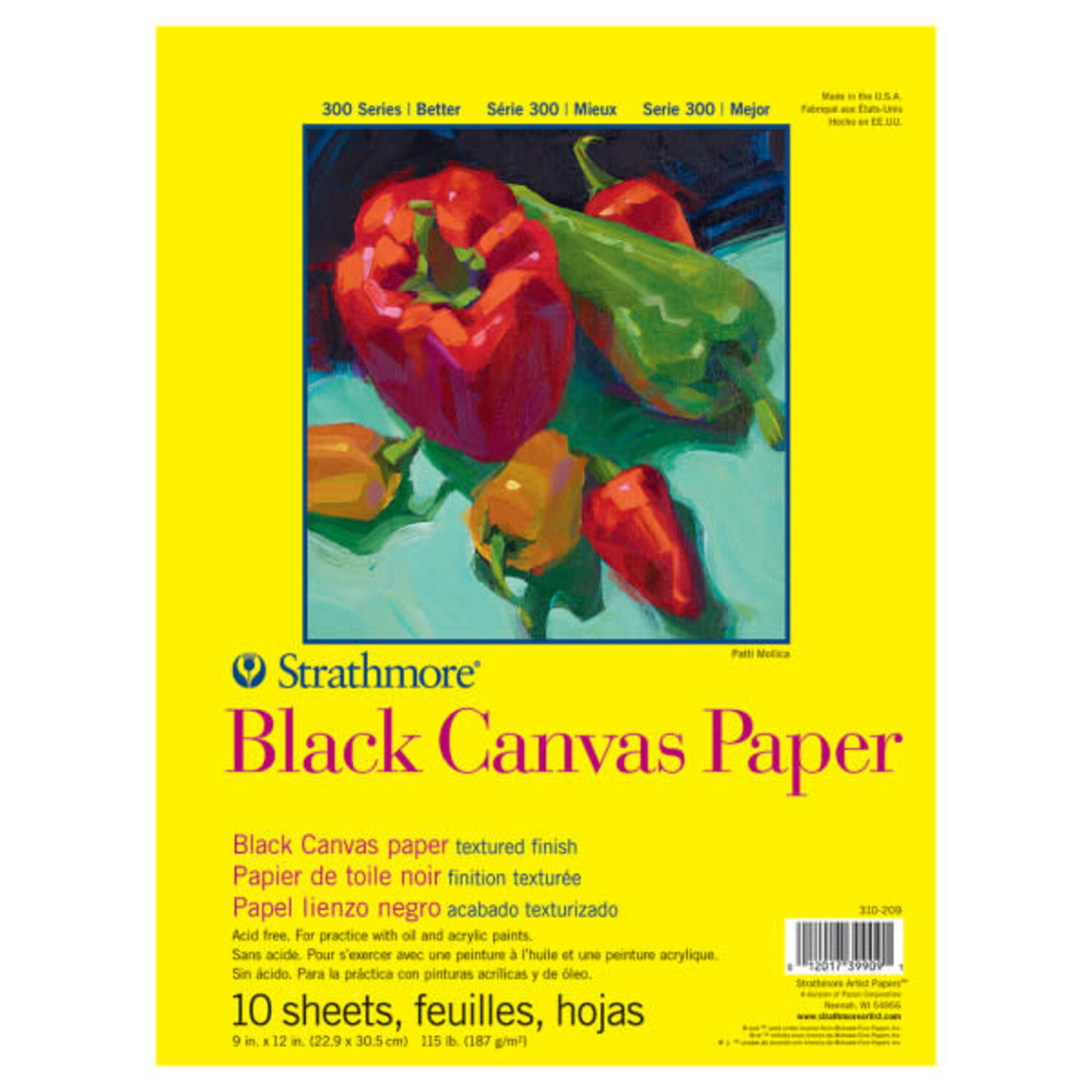 BLACK CANVAS PAPER PAD 300 SERIES 10 SHEETS 9X12 - Artist Corner