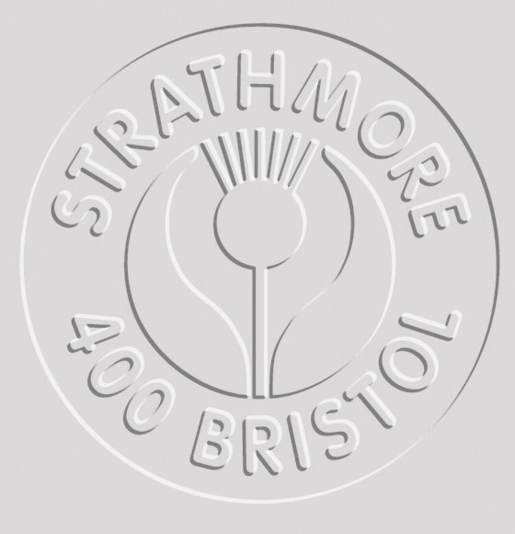 PACON/STRATHMORE Strathmore 400 Series Bristol Board 22x30