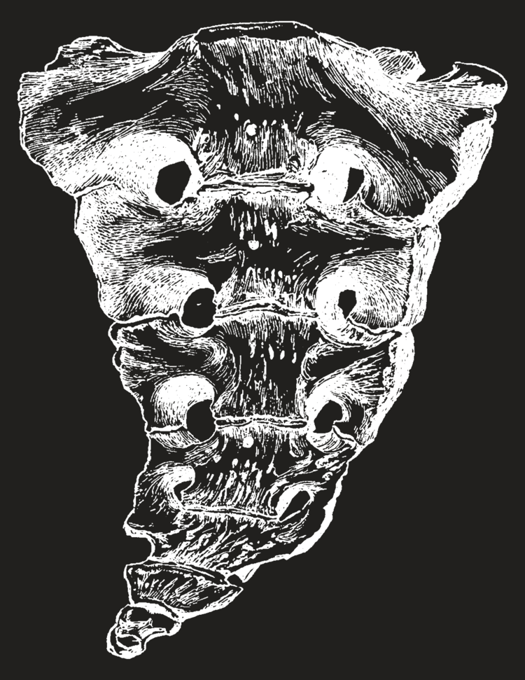 SCRATCH ART SCRATCHBOARD BLACK 10PT 8.5X11 10PK