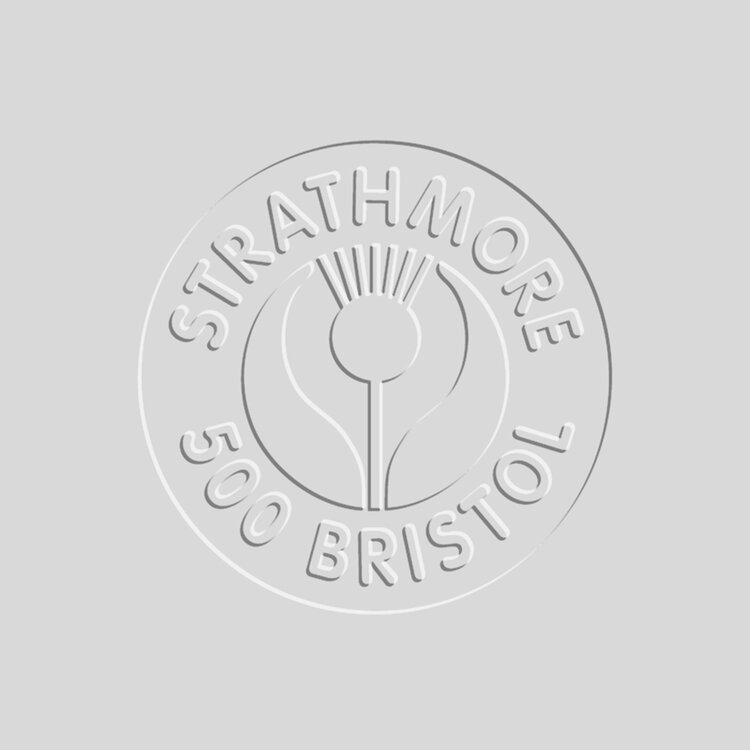 PACON/STRATHMORE BRISTOL 4PLY PLATE SURFACE SHEETS 23X29