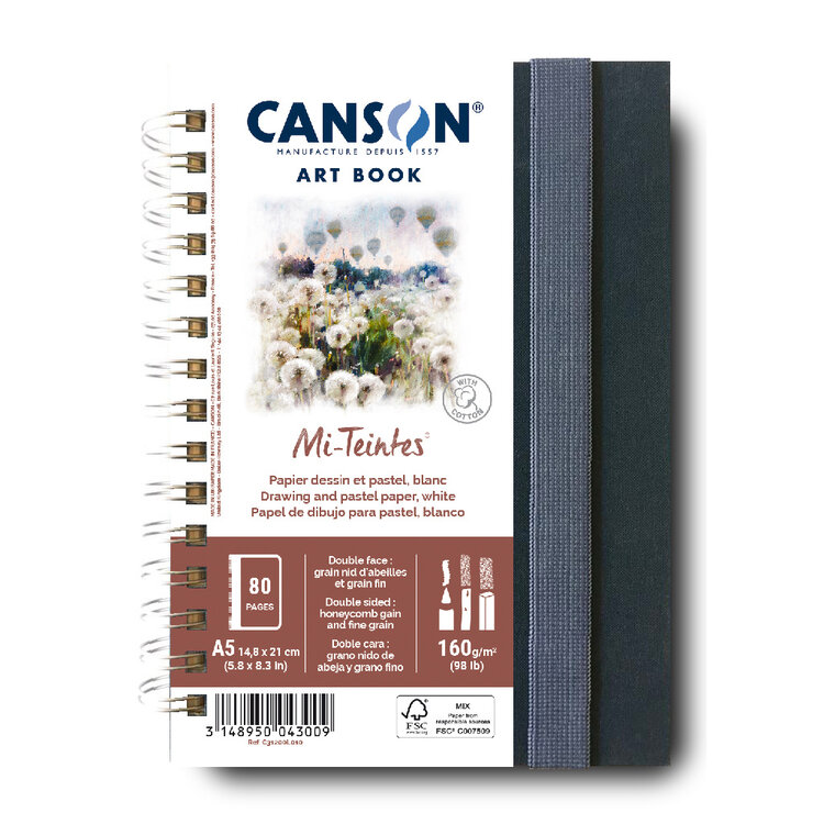 CANSON / PACON PAPERS Artist Series Mi-Teintes Art Book, Mi-Teintes White - 5.8" x 8.3" - 80 Shts.