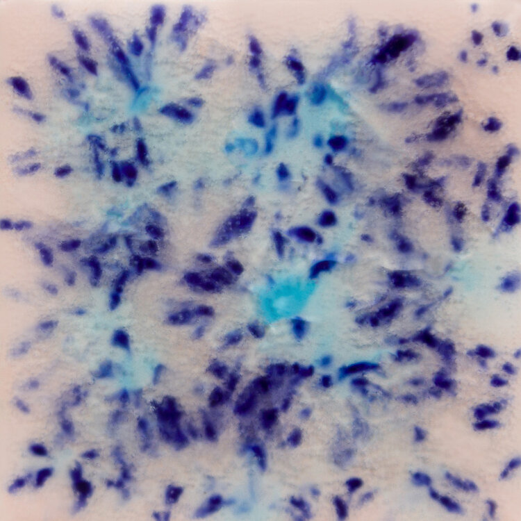 MAYCO Mayco Jungle Gems Crystal Ceramic Glazes - Pints