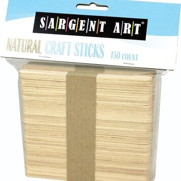 SARGENT ART Sargent Art Craft Stick Sets