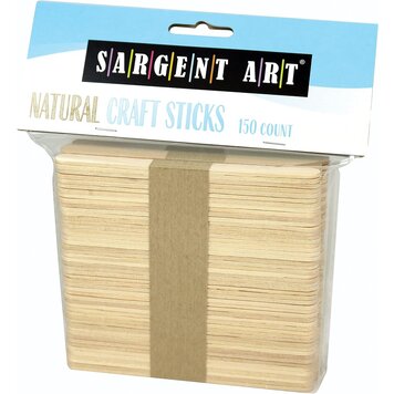 SARGENT ART Sargent Art Craft Stick Sets