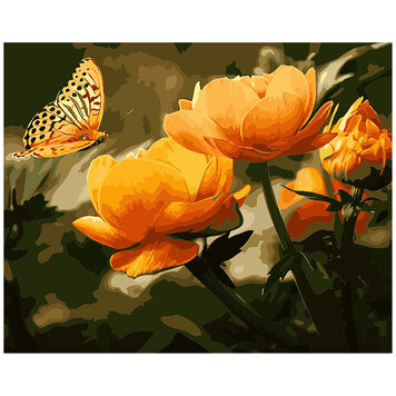 WINNIE'S PICKS Paint by Numbers Kits for Adults