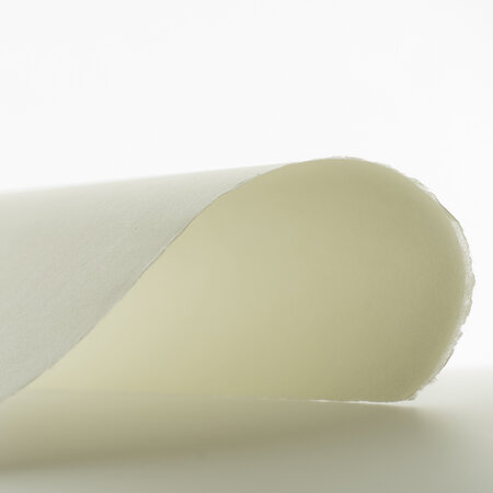 Paper, Canvas & Boards