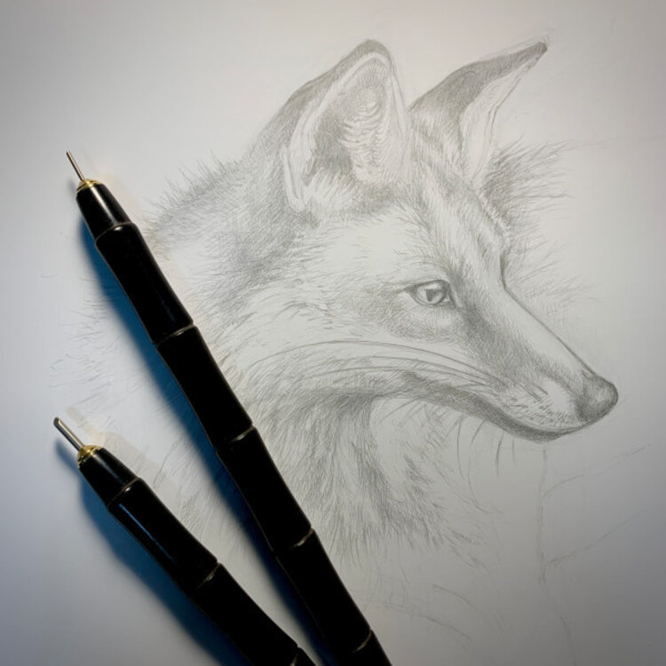 STONEHENGE Legion Art Coated Cover – 20" x 26" Silverpoint Paper, 270gsm