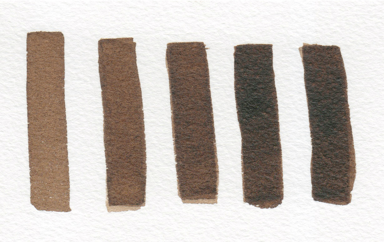 TOM NORTON Tom Norton Walnut Drawing Ink – Lightfast, Water-Soluble Sepia Ink