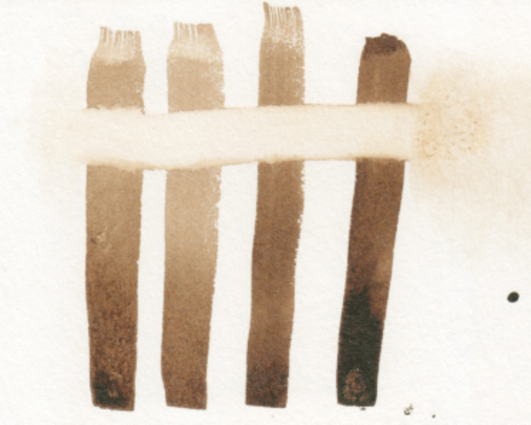 TOM NORTON Tom Norton Walnut Drawing Ink – Lightfast, Water-Soluble Sepia Ink