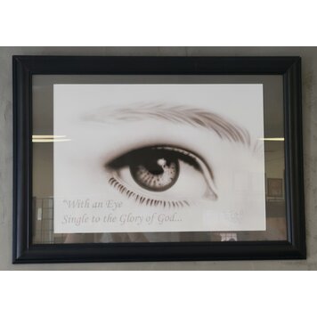 ARTIST CORNER FRAMED EYE SINGLE 16 X 20