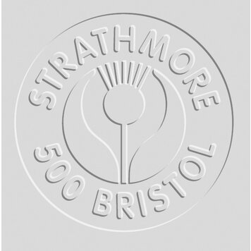 PACON/STRATHMORE Bristol Board 500 Series, Plate Surface, 30" x 40" 4-Ply