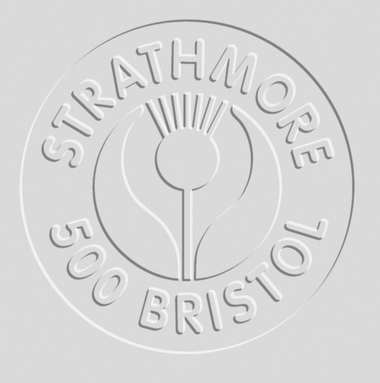 PACON/STRATHMORE Bristol Board 500 Series, Plate Surface, 30" x 40" 4-Ply