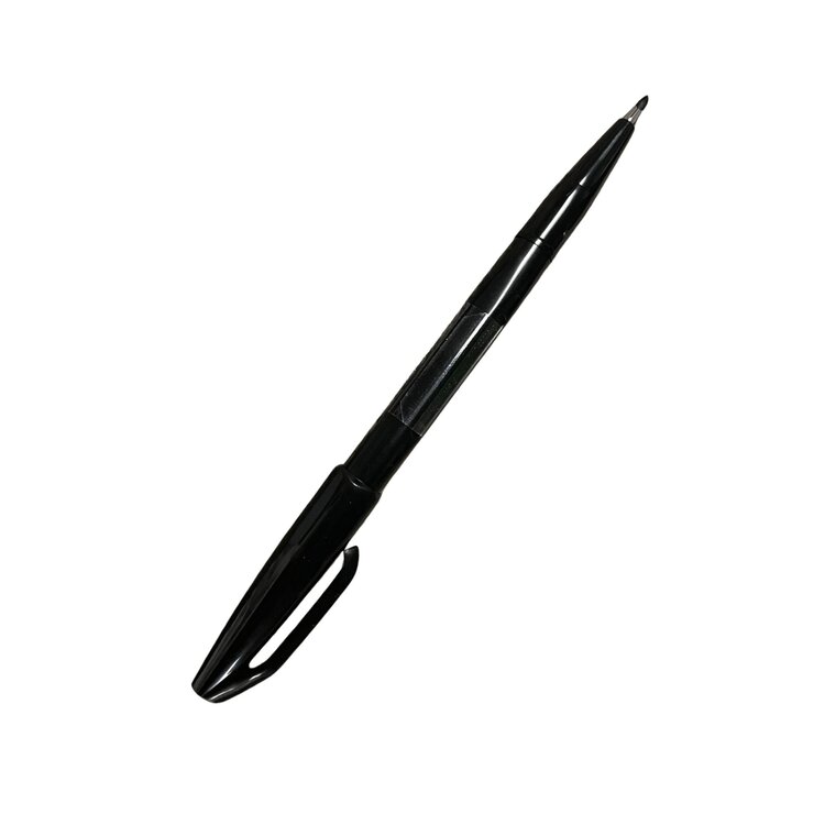 PENTEL Sign Pen Brush Tip Black