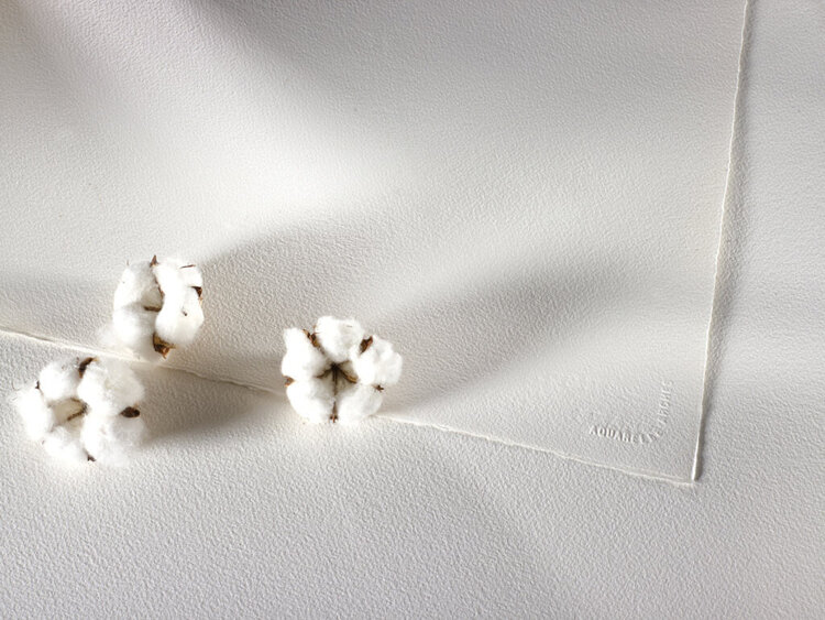 ARCHES PAPER Arches Hot Press 22x30 Watercolor Sheets – 100% Cotton