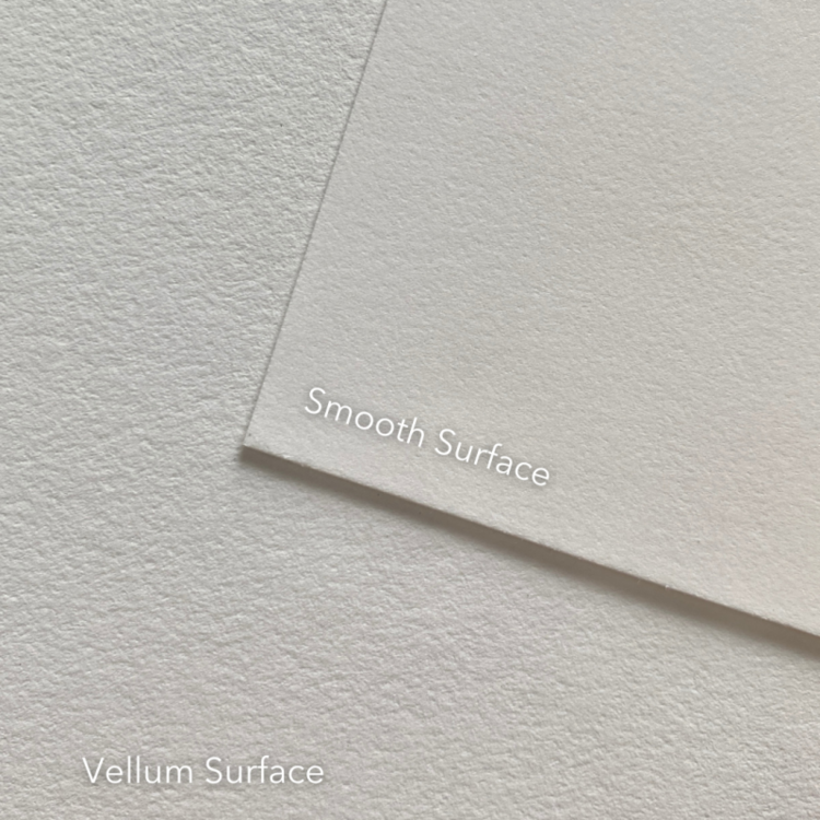 PACON/STRATHMORE Strathmore 500 Series Bristol Board – 2-Ply, 23" × 29"