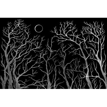 INOVART Inovart Scratchboard