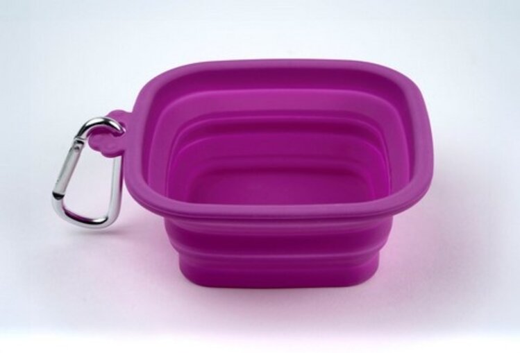 SILVER BRUSH LIMITED Silicone Brush Cleaning