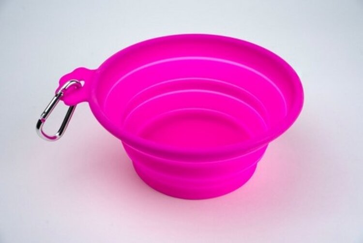 SILVER BRUSH LIMITED Silicone Brush Cleaning