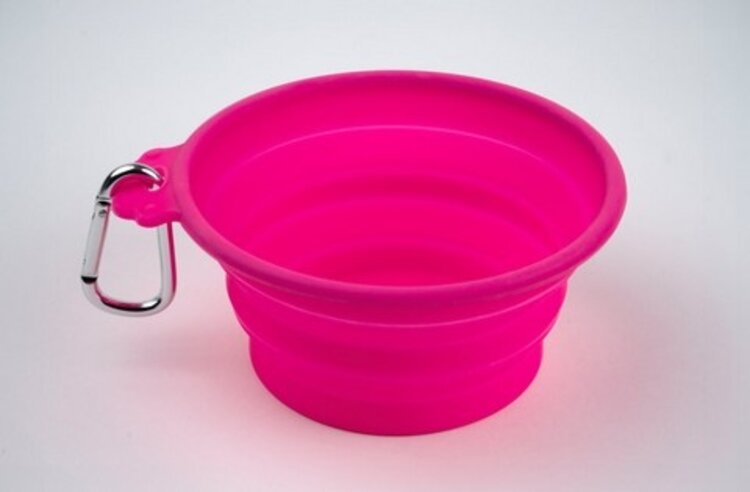 SILVER BRUSH LIMITED Silicone Brush Cleaning