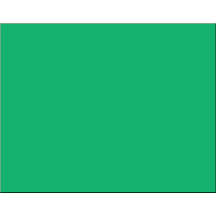 PACON/STRATHMORE Pacon Railroad Board – Colored Poster Board 22" x 28"