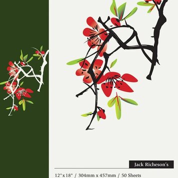 JACK RICHESON Rice Paper Pad 12"x18"