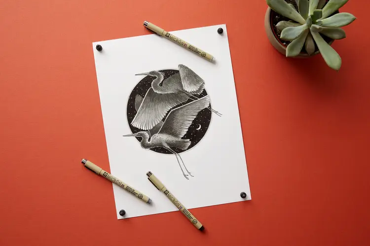SAKURA OF AMERICA Sakura Pigma® Micron Gray & Cool Gray Pens