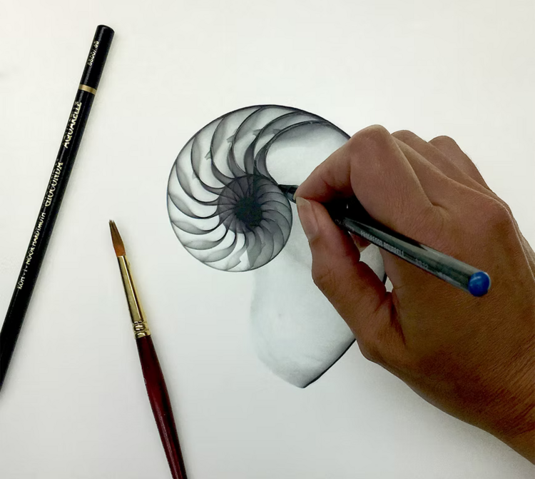 CHARTPAK, INC. Koh-I-Noor Gioconda Aquarell Graphite Pencils