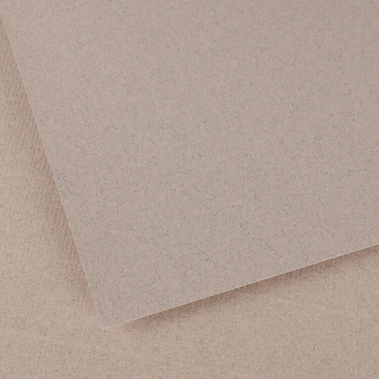 CANSON / PACON PAPERS Ingres Vidalon® Pastel Paper Sheets – 19.5" x 25"
