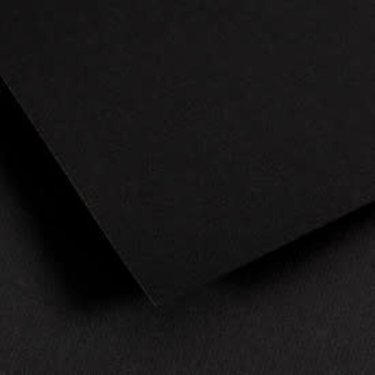 CANSON / PACON PAPERS Ingres Vidalon® Pastel Paper Sheets – 19.5" x 25"