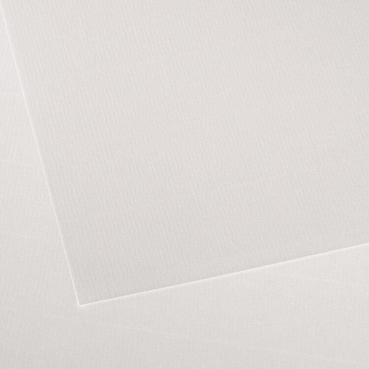 CANSON / PACON PAPERS Ingres Vidalon® Pastel Paper Sheets – 19.5" x 25"