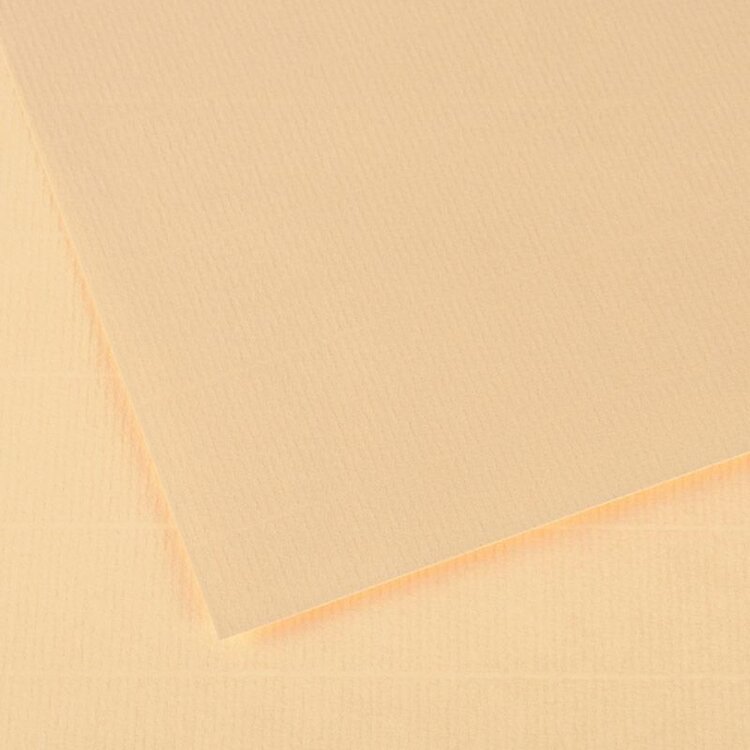 CANSON / PACON PAPERS Ingres Vidalon® Pastel Paper Sheets – 19.5" x 25"