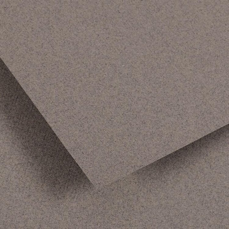 CANSON / PACON PAPERS Ingres Vidalon® Pastel Paper Sheets – 19.5" x 25"